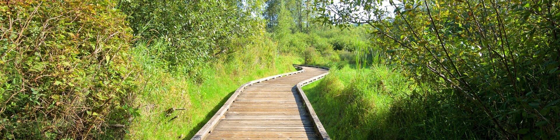 Mercer Slough Nature Park which includes a park