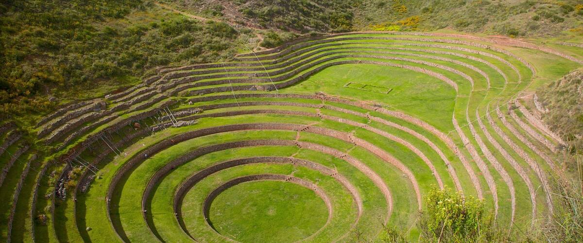 Terraced agricultural fields on a hillside.