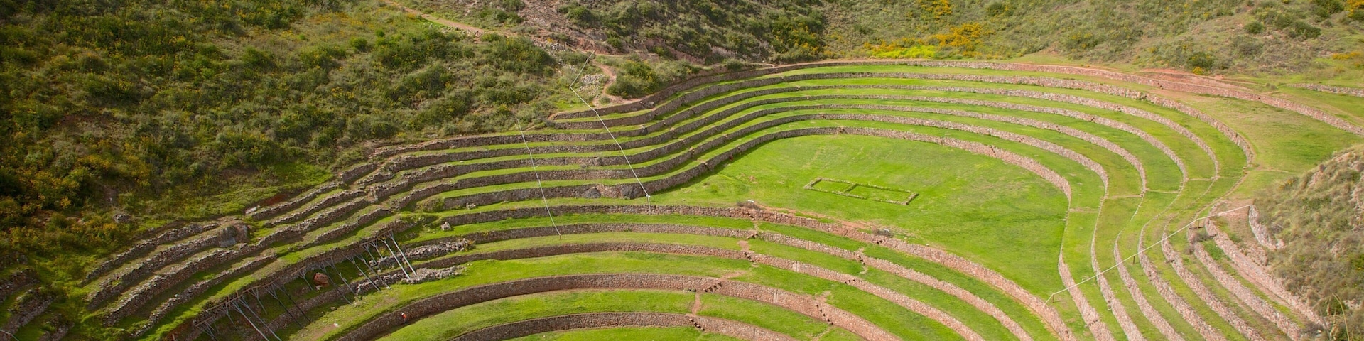 Terraced agricultural fields on a hillside.