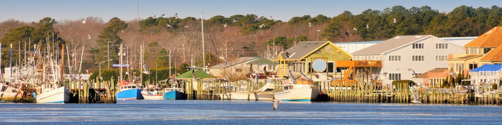 On a cold winter morning, the fishing fleet stays in the harbor of Ocean City Maryland with gulls and ducks flying around