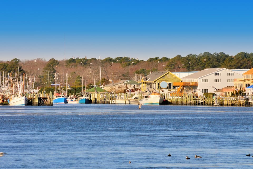 A harbor with boats, wooden docks, and houses along the waterfront.