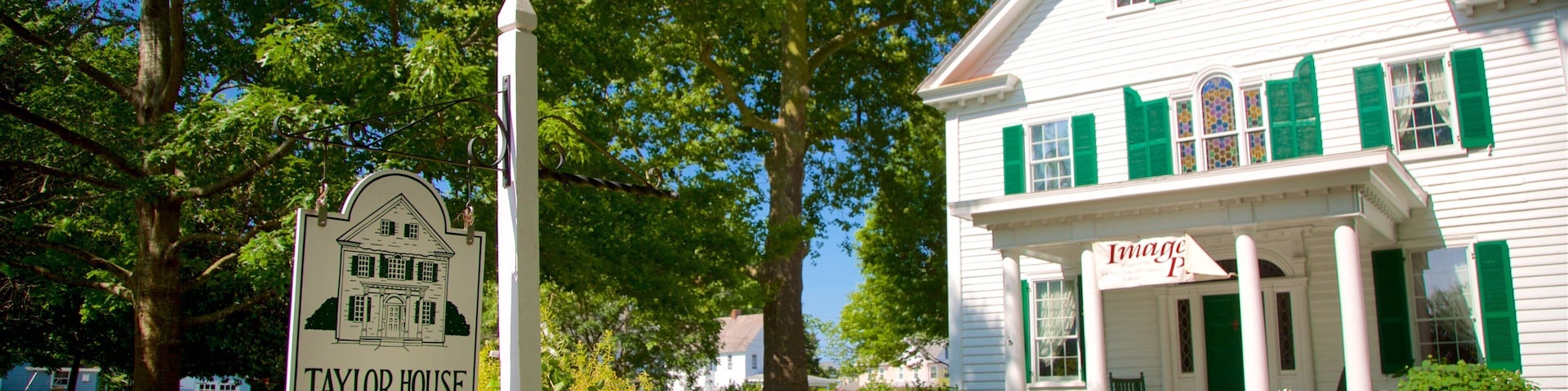 Calvin B. Taylor House Museum showing signage and a house