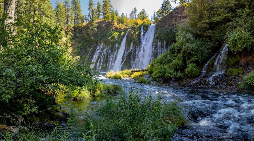 Panoramic View of Burney Falls in McArthur-Burney Falls Memorial Park