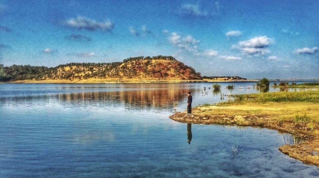 Camanche lake is very beautiful and scenic place. One of favorite place for camping in the summer or just a day trip for a swim in the lake or fishing.
