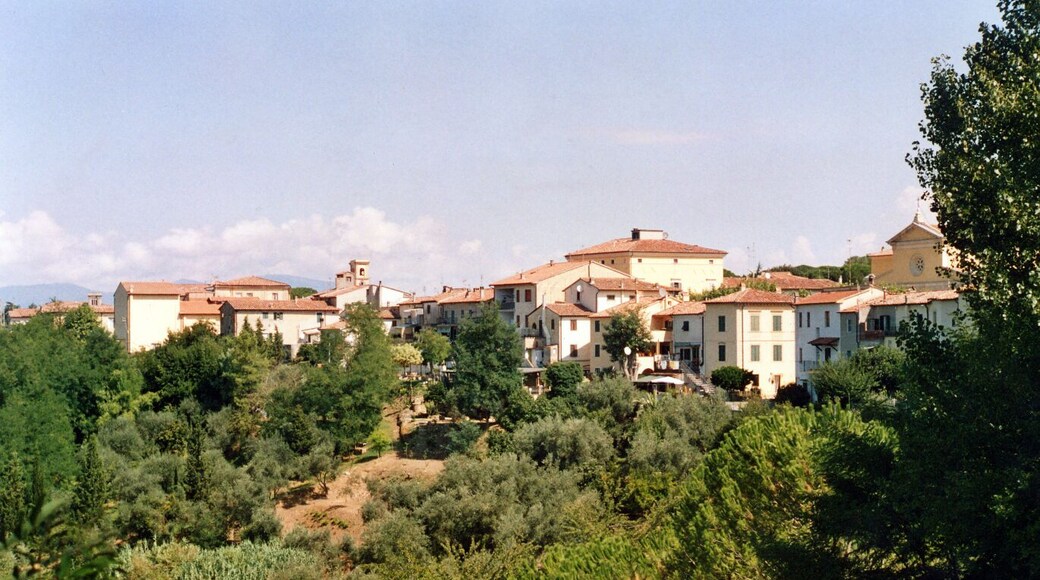 Fauglia