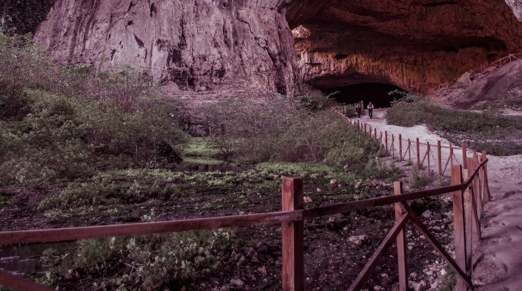 The perfect home. Devetashka cave is now home to 30 000 bats. 🦇🦇🦇
