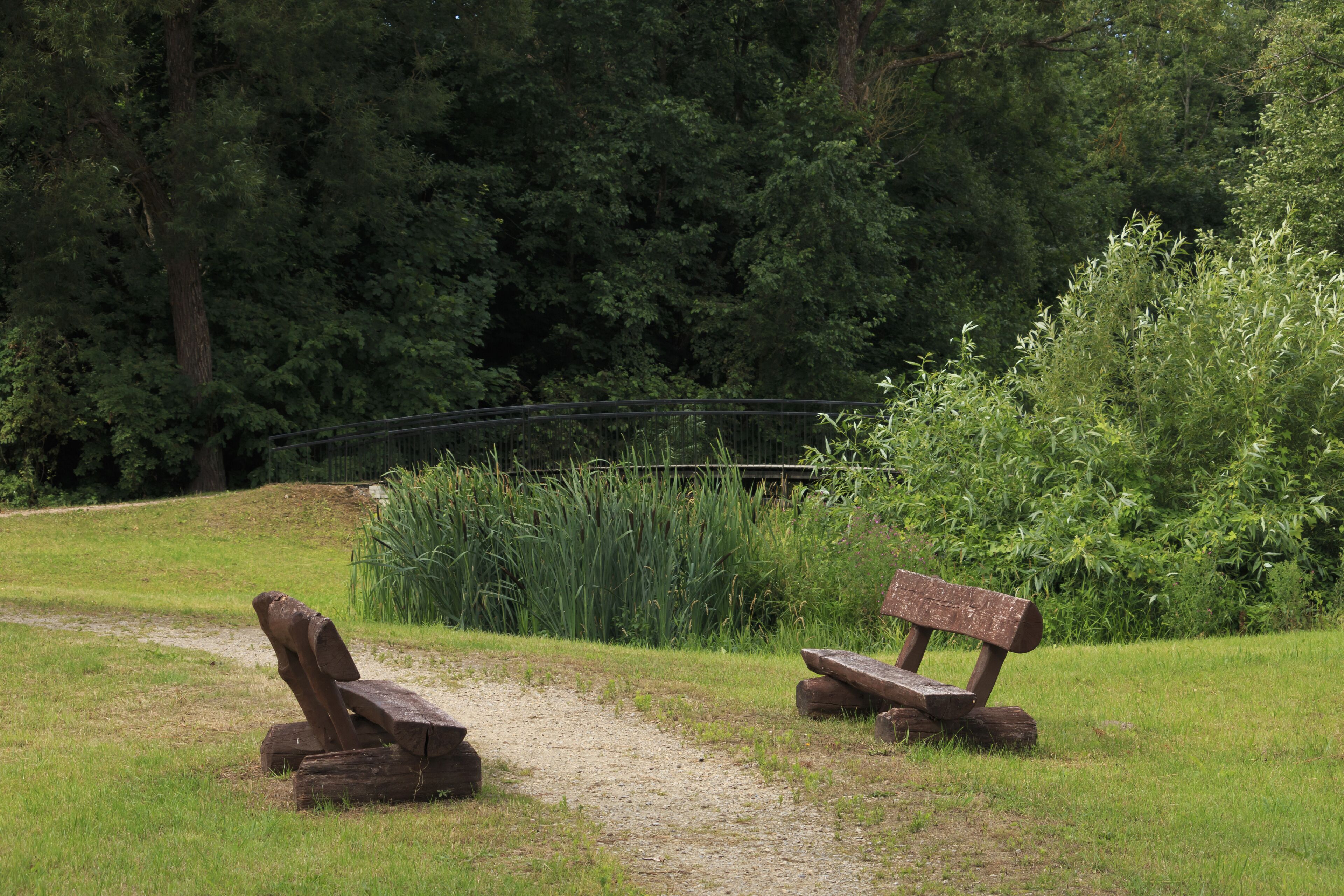 Landscape in Jurbarca City Park.
