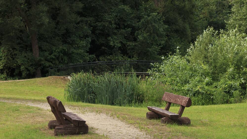 Landscape in Jurbarca City Park.