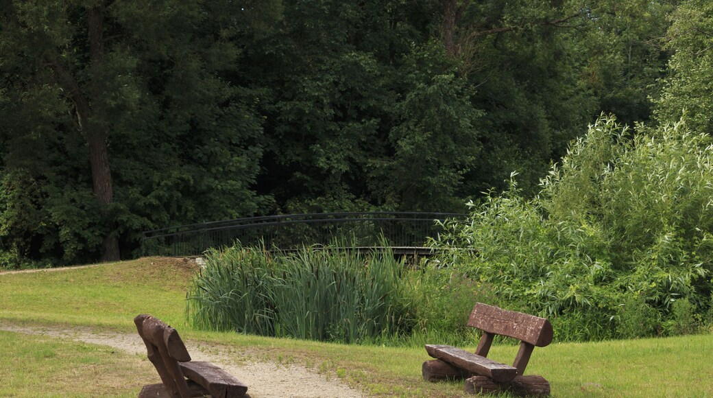 Landscape in Jurbarca City Park.