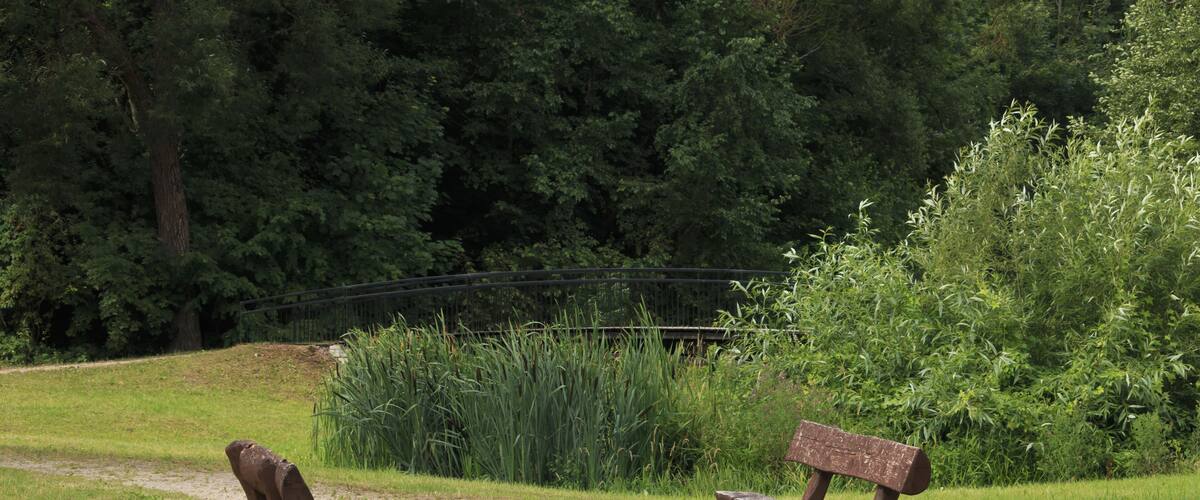 A park with two wooden benches on a dirt path, surrounded by lush green grass and dense trees.