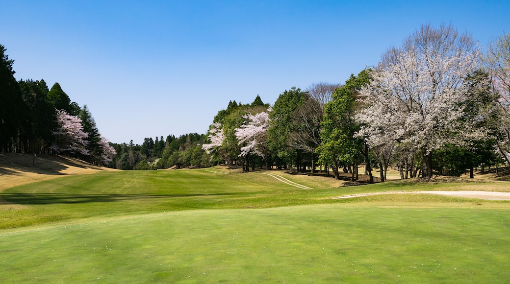 ゴルフ場 千葉県