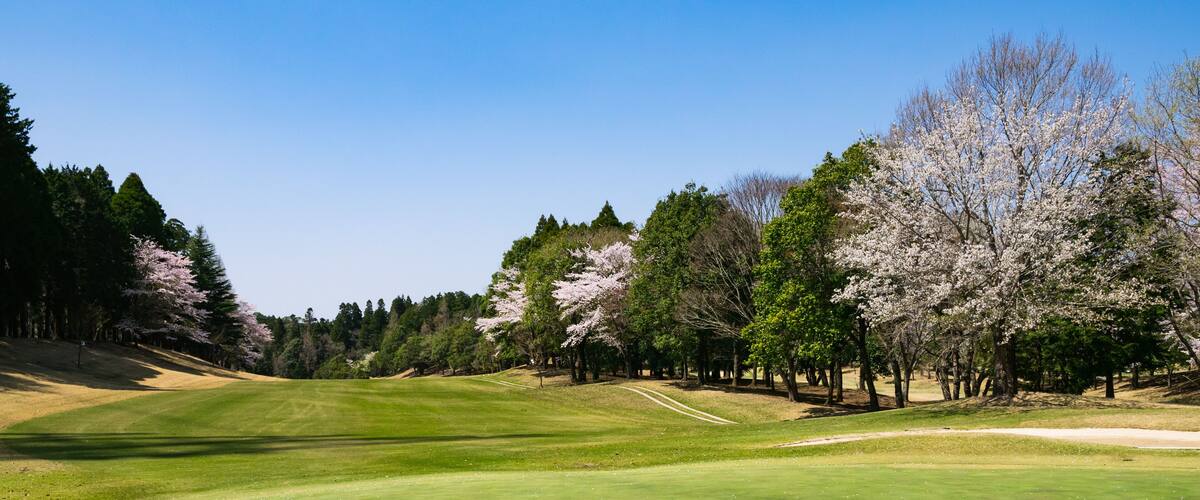 ゴルフ場 千葉県