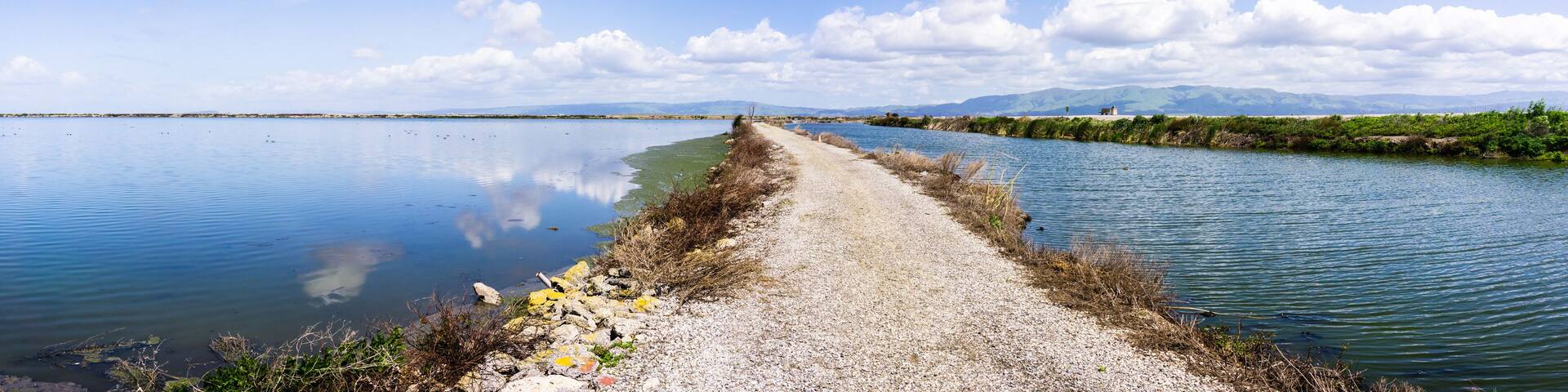 Panoramic view of the bay trail and the wetlands near Sunnyvale, San Francisco bay area, California