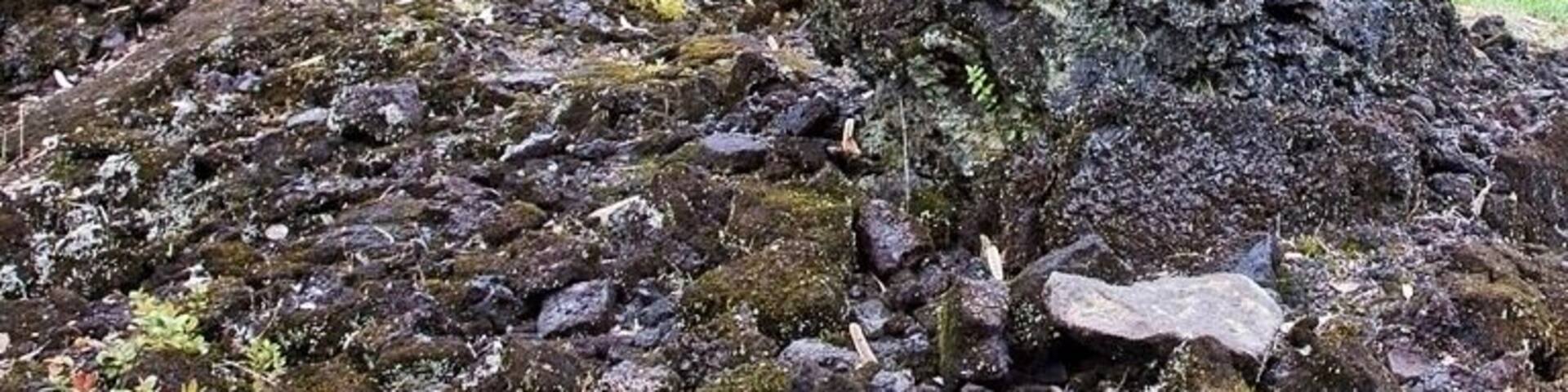 In 1790 a swift moving lava flow leveled the forest here and drained away, leaving behind a new forest of "lava trees". These hollow rock columns were formed when the lava wrapped around the cool tree trunks and quickly solidified. When the molten lava drained away, these rock columns were left standing. The columns are hollow because the tree trunks themselves were incinerated during the process, but only after the rock had cooled enough to hold it's shape. If you look closely, you can sometimes see the texture of the tree bark in the rock molds.