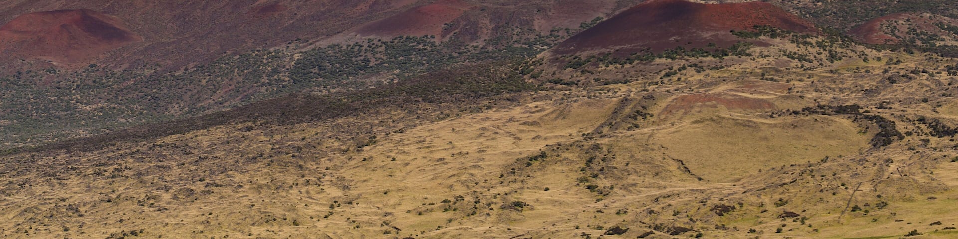Mauna Kea State Recreation Area showing mountains and tranquil scenes