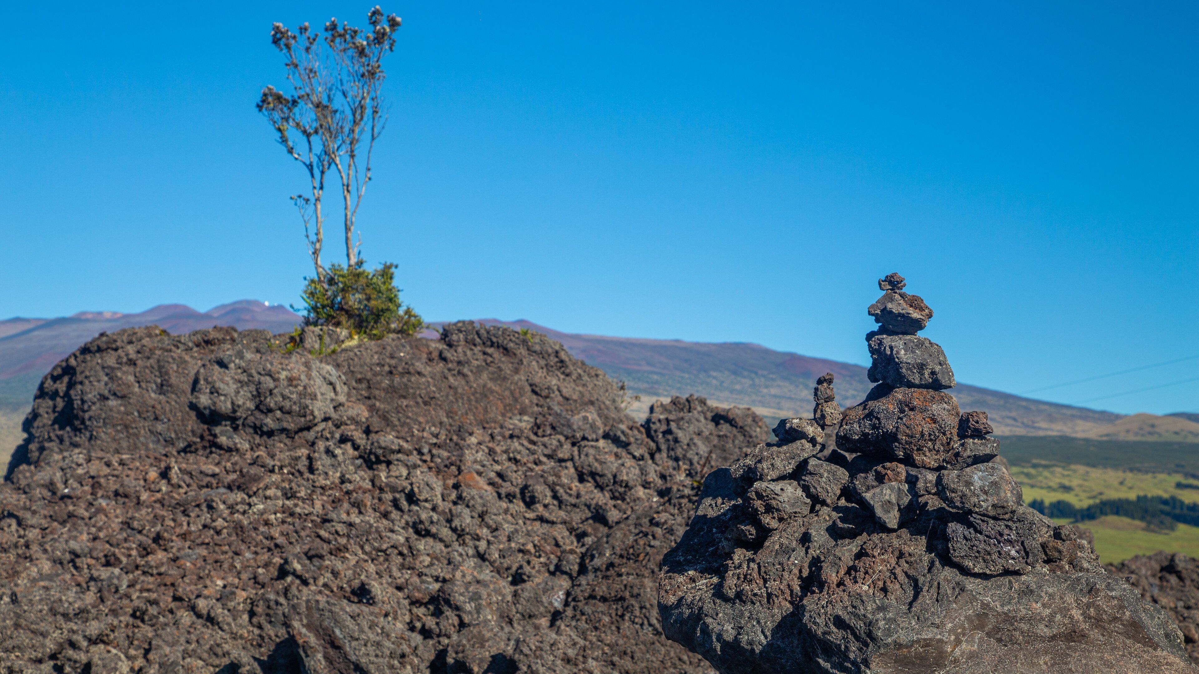 Mauna Kea State Recreation Area which includes tranquil scenes