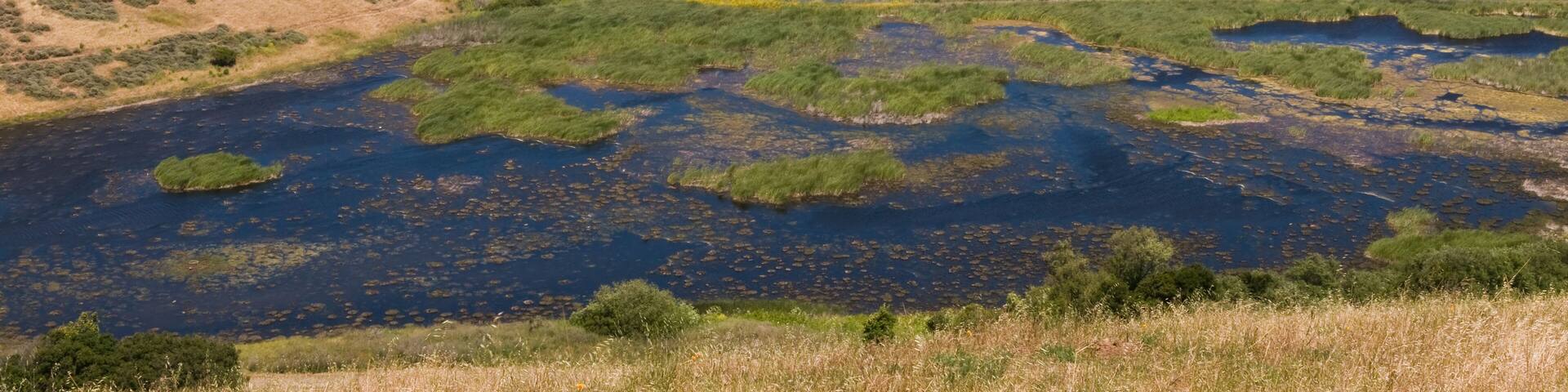 Looking down on Coyote Hills Regional Park, Fremont, California