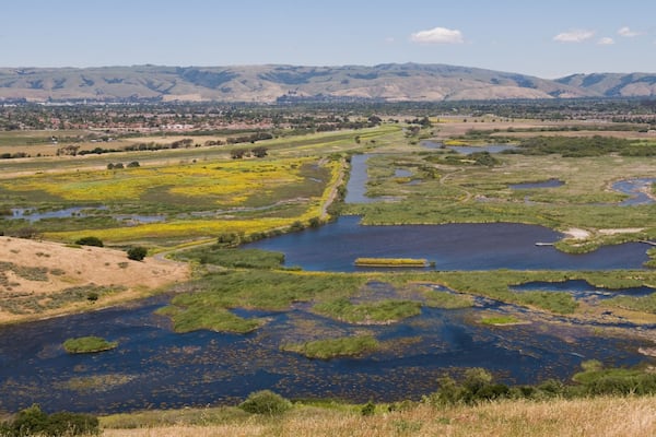 Looking down on Coyote Hills Regional Park, Fremont, California