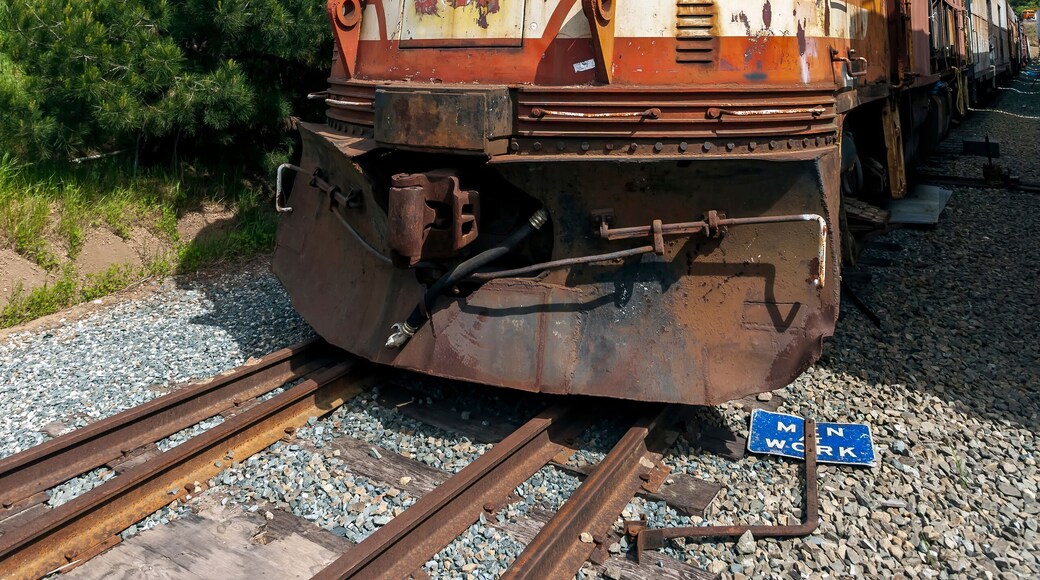 Niles Canyon Locomotive
