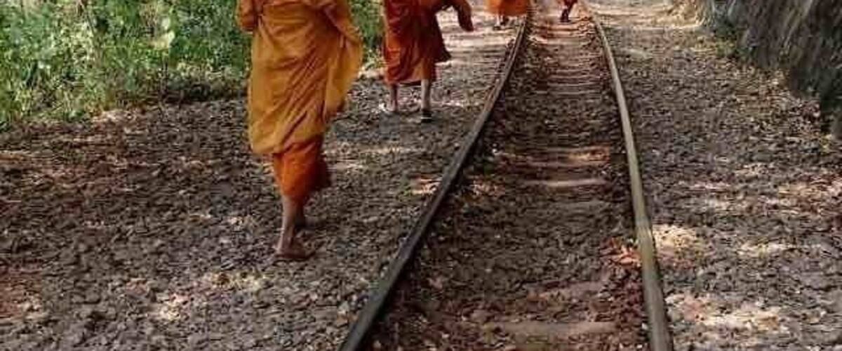 Monks walking on a railway track surrounded by greenery.