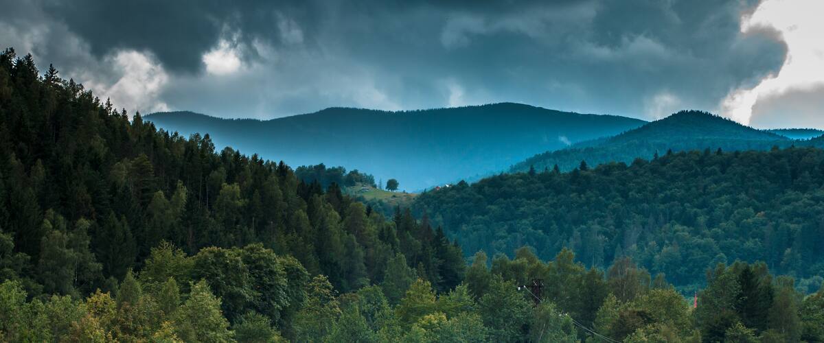 A railway bridge over a forested valley with mountains in the background.