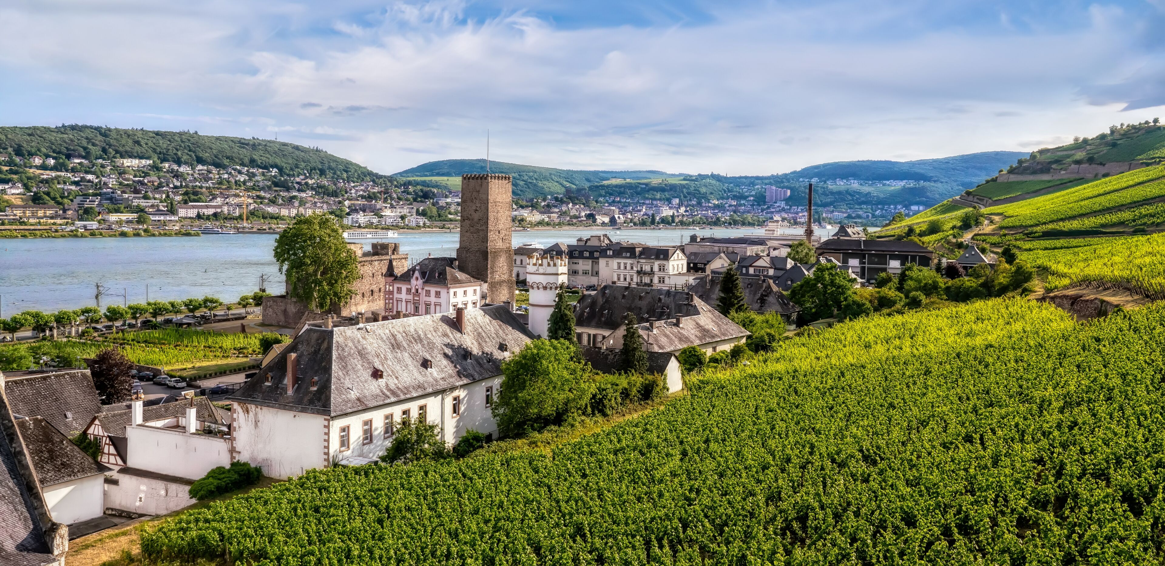 A town with vineyards, a river, and a historic tower.