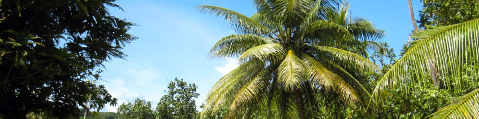 ラッテ ストーン パーク フィーチャー 公園