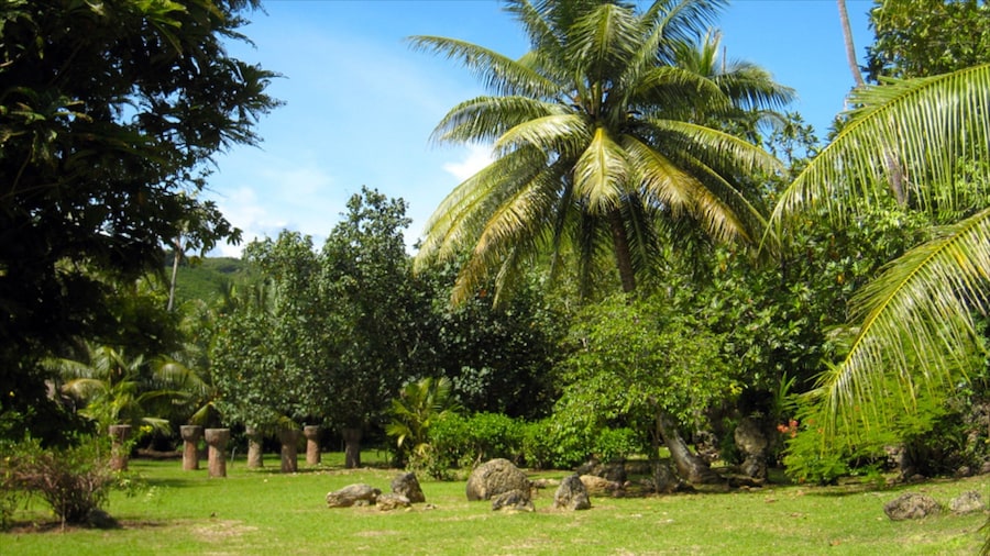 Latte Stone Park som viser en park