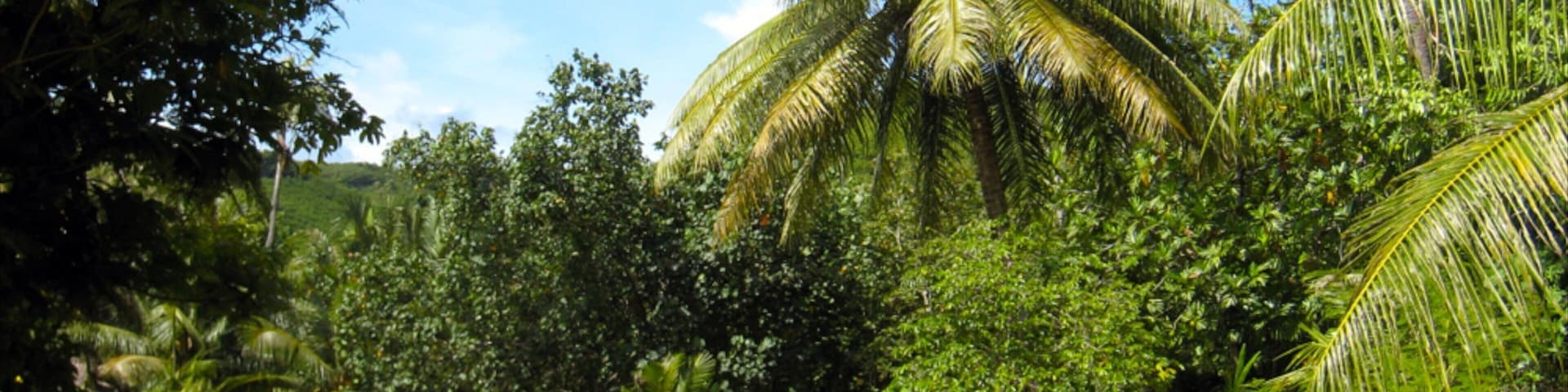 拿鐵史東公園 其中包括 花園