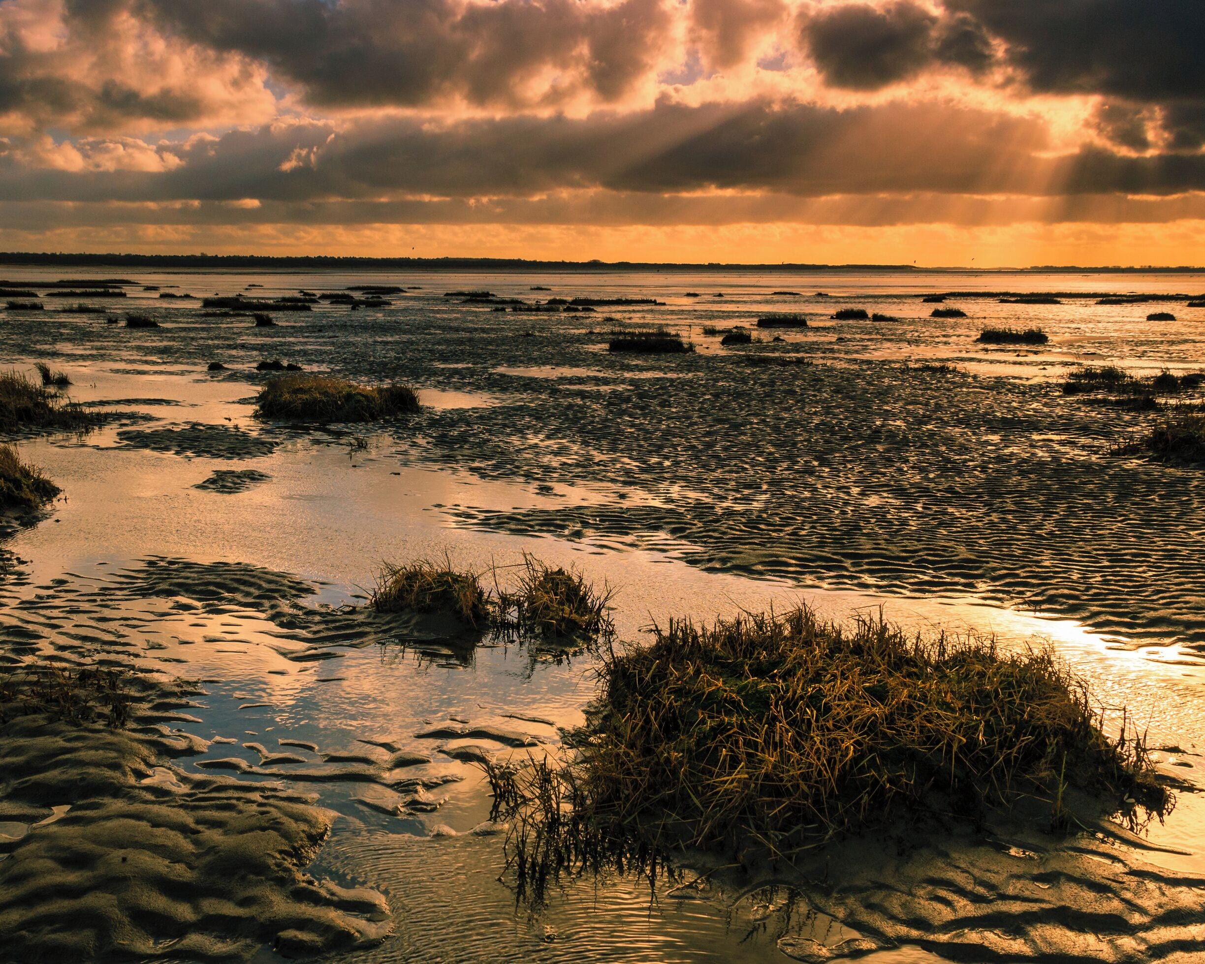 Warm picture

#beach #sun #nature #water #ocean #lake #photooftheday #beautiful #sky #clouds #cloudporn #fun #pretty #sand #reflection #amazing #beauty #beautiful #shore #seashore #BVSwater