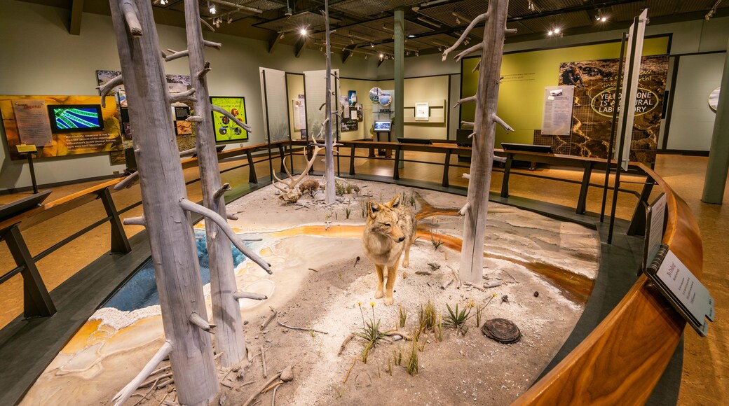 Old Faithful Visitor Education Center