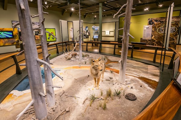 Old Faithful Visitor Education Center