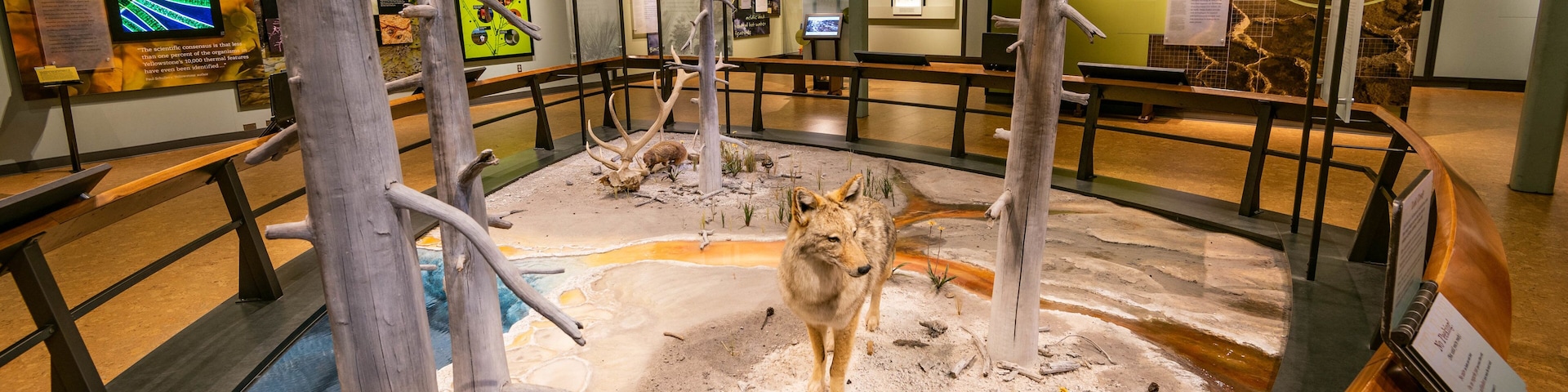Old Faithful Visitor Education Center