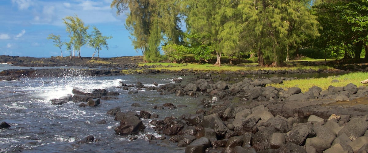 Keaukaha Beach Park featuring rugged coastline