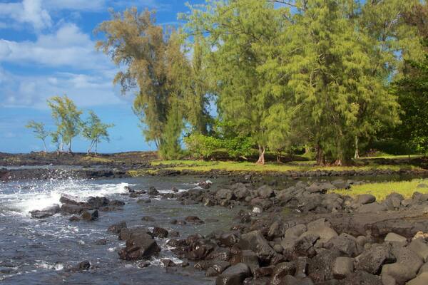 Parque de la playa Keaukaha mostrando costa rocosa
