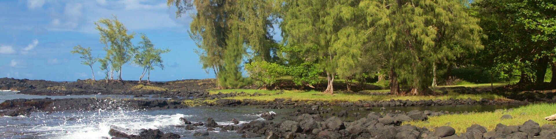 Keaukaha Beach Park das einen Felsküste