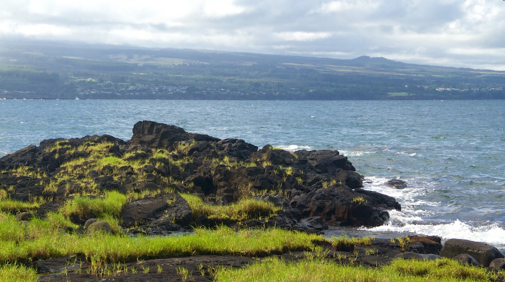 Keaukaha Beach Park showing rugged coastline