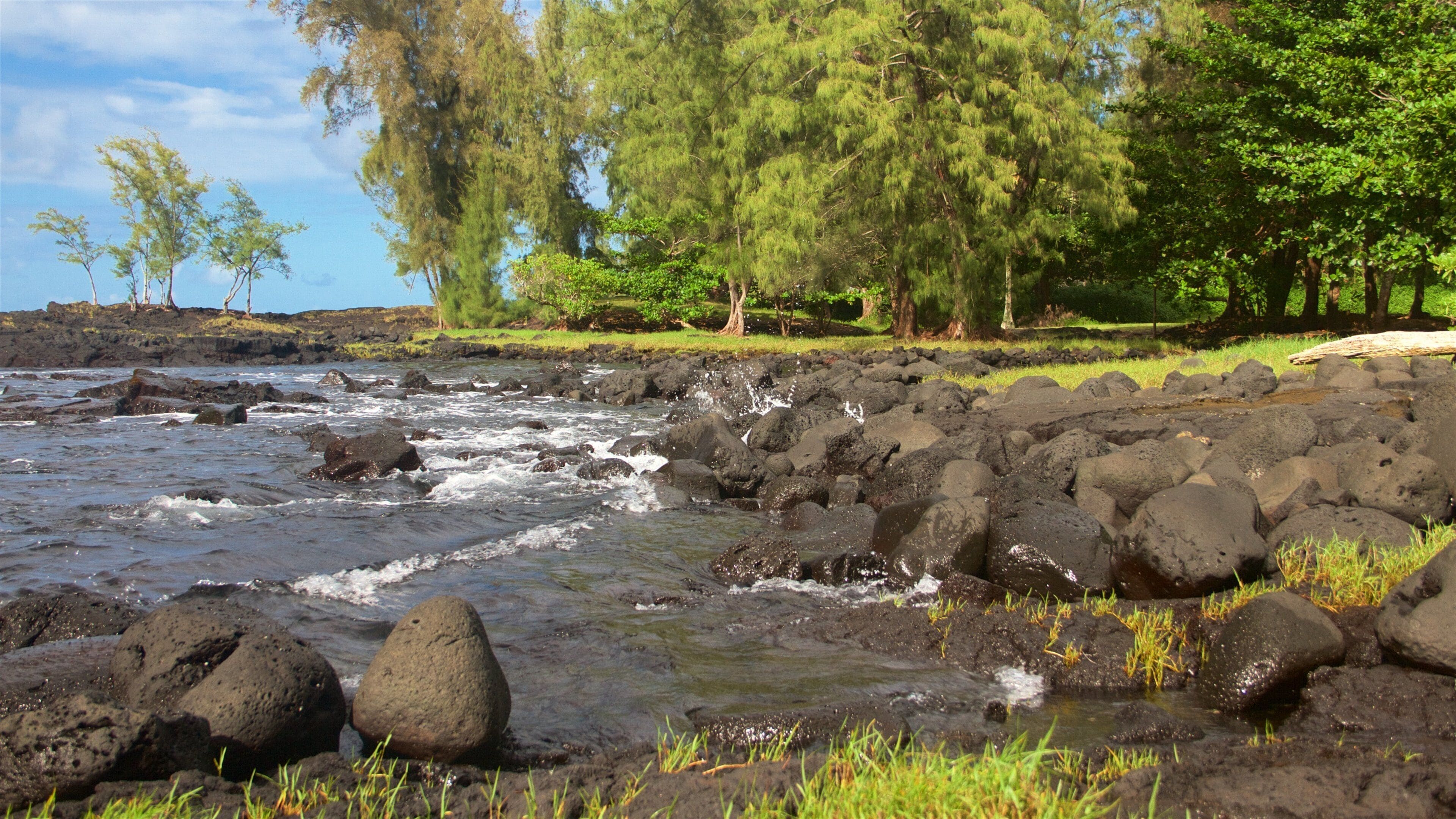Keaukaha Beach Park featuring karu rannikko ja yleiset rantanäkymät