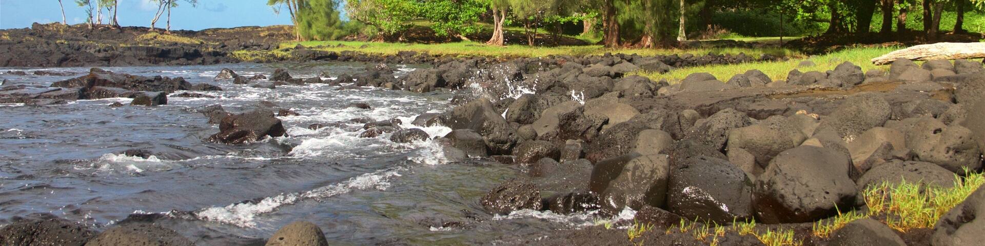 Keaukaha Beach Park which includes general coastal views and rugged coastline