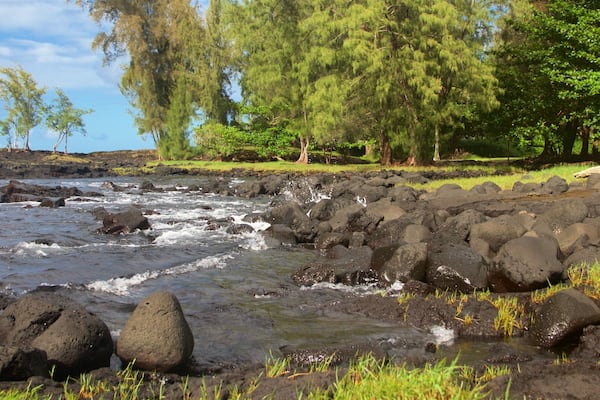 Keaukaha Beach Park featuring general coastal views and rocky coastline