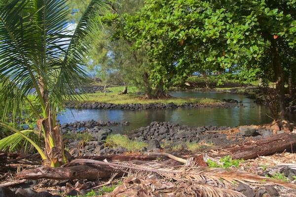 Keaukaha Beach Park featuring a pebble beach