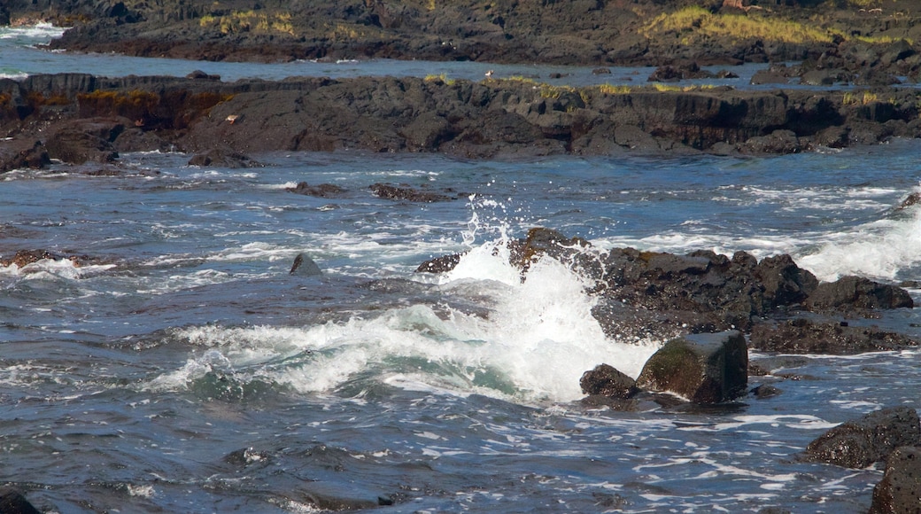 Keaukaha Beach Park showing general coastal views and rocky coastline