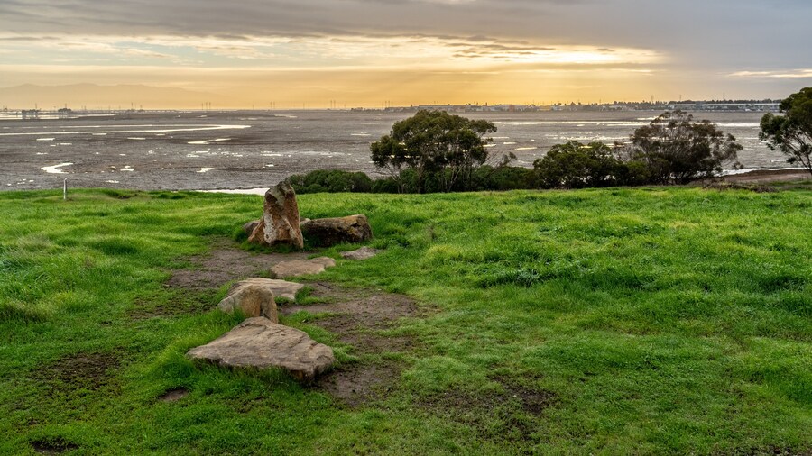 Parc Bedwell Bayfront