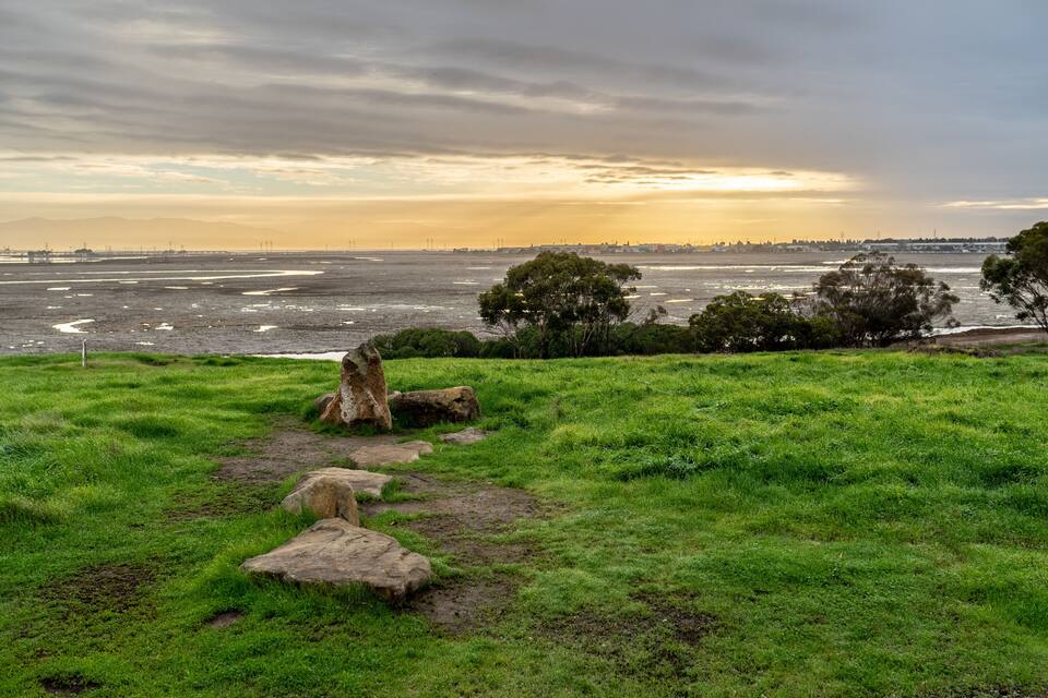 A grassy area with rocks and trees near a body of water.