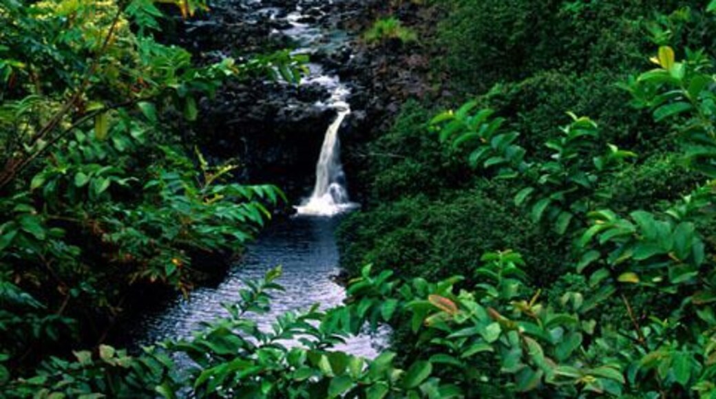 Umauma Falls, Hilo, Hamakua Coast, Hawaii