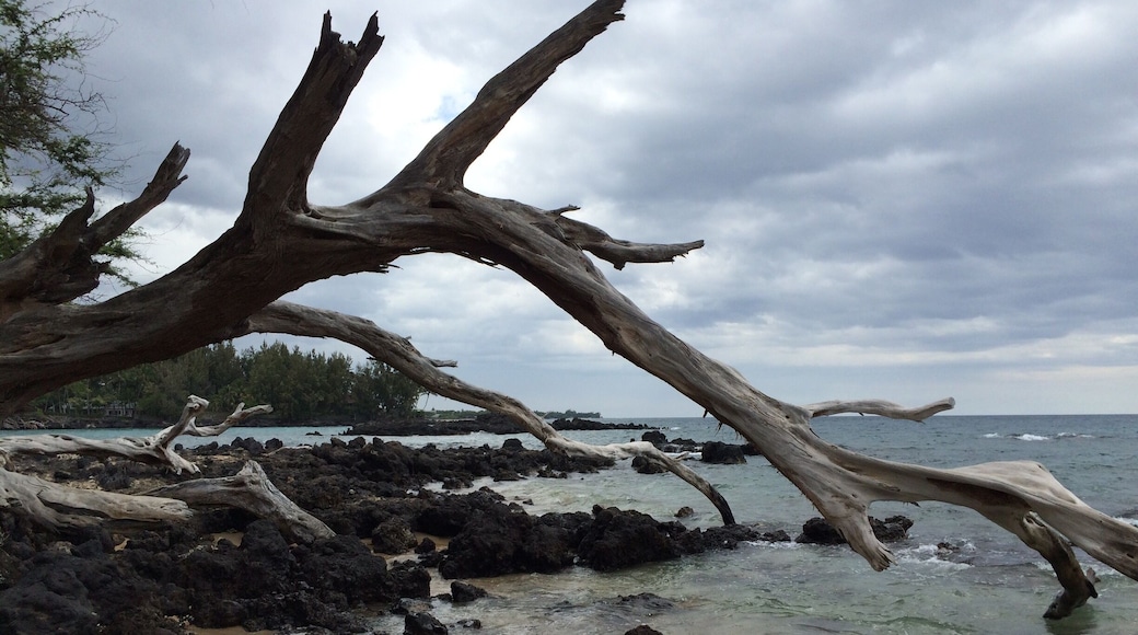 Puako Beach 69. Laid back and chill, the way it should be!