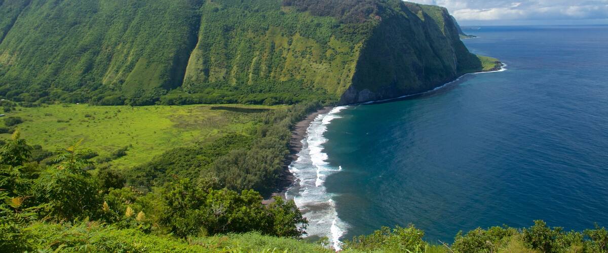 Mirador del valle de Waipio ofreciendo montañas y vistas generales de la costa