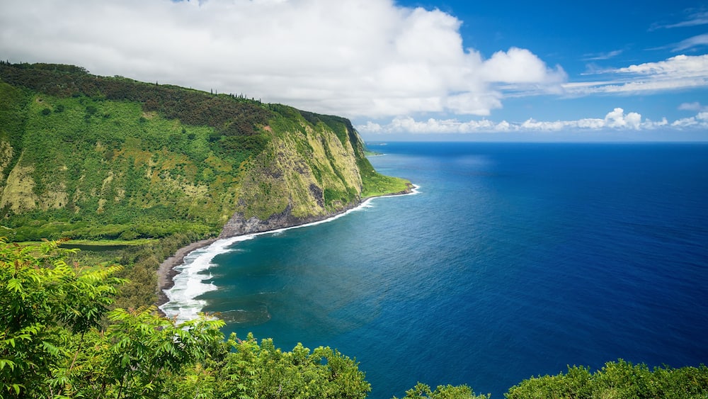 Un paysage côtier avec une colline verdoyante, une plage et l’océan.
