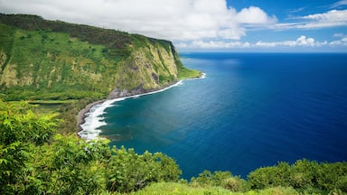 Paisagem costeira com uma encosta verde, uma praia e o oceano.