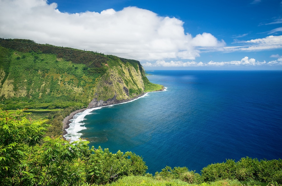 Paisagem costeira com uma encosta verde, uma praia e o oceano.